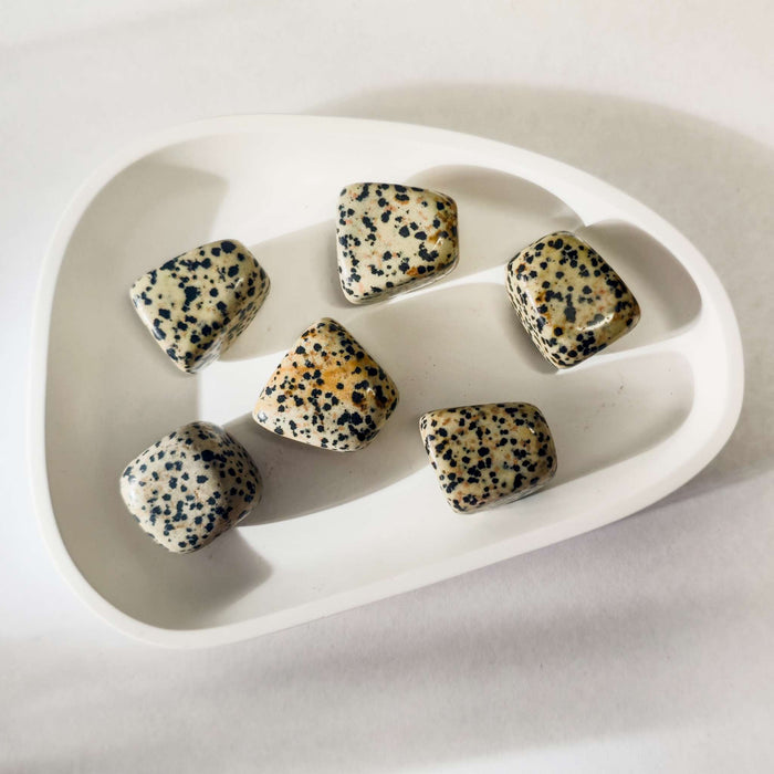 Dalmatian Jasper - Tumble
