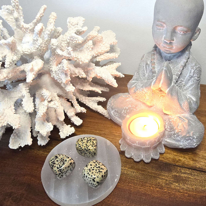 Dalmatian Jasper - Tumble